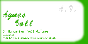 agnes voll business card